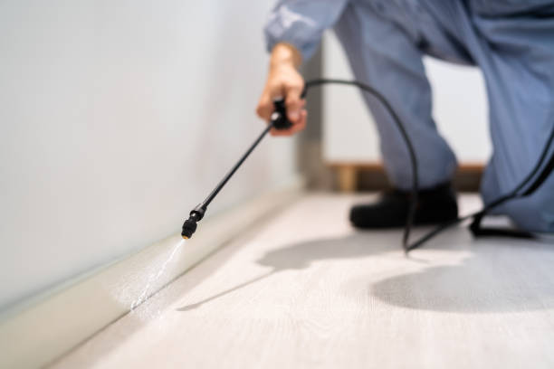 Licensed Mosquito Control service in Bull Valley, IL - Show Me Pest Control