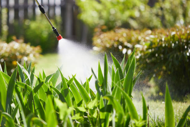 24/7 Emergency Mosquito Control experts in Bull Valley, IL