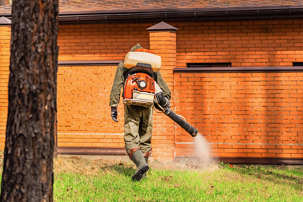 Top rated local Mosquito Control specialists in Bull Valley, IL